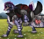 animal_genitalia animal_vulva back_markings balls black_body black_fur black_nose black_tail blue_body blue_fur blue_sky canid canine canine_genitalia canine_vulva claws day duo ears_back erection eyes_closed fangs female female_penetrated feral feral_on_feral feral_penetrated feral_penetrating feral_penetrating_feral fur genitals grass grey_balls grey_body grey_claws grey_fur grey_tail hi_res killthe_demon knot looking_pleasured male male/female male_penetrating male_penetrating_female mammal markings motion_lines narrowed_eyes open_mouth outside_sex penetration penile penile_penetration penis penis_in_vagina pivoted_ears plant purple_eyes purple_tail quadruped red_markings red_penis red_tongue sex sitka sky striped_legs tail teeth tongue tongue_out vaginal vaginal_penetration vulva white_body white_fur white_tail
