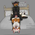 abdominal_bulge absurd_res anthro bear bed bernese_mountain_dog blush canid canine canis cowgirl_position dog_(yasuno) domestic_dog duo feral from_front_position furniture genitals gynomorph hi_res intersex intersex/male knot male mammal molosser mountain_dog on_bottom on_top sex speech_bubble swiss_mountain_dog tail tail_motion tailwag vaginal vulva yamato_burr yamatopawa yasuno