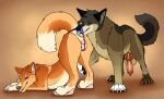 anal animal_genitalia animal_vulva balls black_pawpads brown_body brown_fur brown_tail canid canine canine_genitalia canine_vulva claws duo erection female feral feral_on_feral fur genitals grey_tail hi_res killthe_demon knot kulta_(killthe_demon) lingerie_on_feral male male/female mammal narrowed_eyes oral orange_body orange_eyes orange_fur orange_tail pawpads penis pink_pawpads pink_tongue red_penis rimming sex simple_background tail tan_balls tan_body tan_fur tongue tongue_out vulva white_body white_claws white_fur white_tail