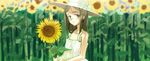  bare_shoulders blue_eyes blush bow breasts brown_hair day dress field flat_chest flower flower_field hat hat_bow holding holding_flower looking_at_viewer medium_breasts murasawa_hiroshi nature original parted_lips sleeveless sleeveless_dress solo sun_hat sundress sunflower upper_body white_bow white_dress white_hat 