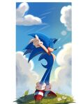  anthro black_nose blue_body clothing cloud eulipotyphlan eyes_closed field flower footwear gloves grass hands_behind_head handwear heart_symbol hedgehog hi_res leaf light male mammal mixa1512 multicolored_body plant quills_(anatomy) red_clothing red_footwear red_shoes relaxed_expression relaxing sega shaded shoes sky solo sonic_the_hedgehog sonic_the_hedgehog_(series) standing stretching sunlight watermark white_clothing white_flower white_gloves white_handwear white_heart 