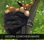  animal_focus artist_name brown_eyes commentary_request eevee english_commentary fluffy in_tree looking_at_viewer meme mixed-language_commentary nest no_humans one_eye_closed outdoors pokemon pokemon_(creature) pokemon_focus sifyro snapchat solo spanish_commentary spanish_text translation_request tree 