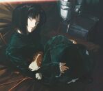  1girl aizheajsee animal_on_lap basset_hound black_hair black_shoes blue_eyes bob_cut buttons cable closed_mouth commentary couch curtained_hair dog dress english_commentary expressionless film_grain frilled_sleeves frills from_above full_body gabriel_(gits) ghost_in_the_shell ghost_in_the_shell:_innocence green_dress hands_on_own_legs head_tilt highres indoors inverted_bob kusanagi_motoko legs_folded light_frown light_leak long_dress looking_at_viewer middle_part on_couch on_lap parted_bangs petticoat shoes short_hair sidelighting sitting sleeves_past_wrists solo wide-eyed 