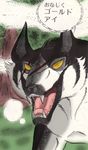  dog fangs ginga_nagareboshi_gin goldeye_(ginga_nagareboshi_gin) scar wolf yellow_eyes 