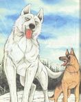  dog fang german_shepherd lobo_(fang) white_wolf_(fang) wolf yellow_eyes 