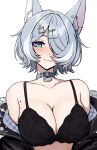  1girl :3 absurdres animal_ear_fluff animal_ears aqua_eyes bare_shoulders black_bra blush bra breasts collar commentary cross-shaped_pupils daydarion elira_pendora elira_pendora_(6th_costume) english_commentary fur-trimmed_jacket fur_trim grey_hair hair_over_one_eye highres jacket lace lace_bra large_breasts large_variant_set lingerie looking_at_viewer mole mole_on_armpit nijisanji nijisanji_en off_shoulder short_hair simple_background solo symbol-shaped_pupils underwear upper_body variant_set virtual_youtuber white_background wolf_ears 