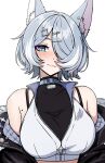  1girl :3 absurdres animal_ear_fluff animal_ears aqua_eyes bare_shoulders blush bra_strap breasts collar commentary cross-shaped_pupils daydarion elira_pendora elira_pendora_(6th_costume) english_commentary fur-trimmed_jacket fur_trim grey_hair hair_over_one_eye highres jacket large_breasts large_variant_set looking_at_viewer mole mole_on_armpit nijisanji nijisanji_en off_shoulder short_hair simple_background solo symbol-shaped_pupils upper_body variant_set virtual_youtuber white_background wolf_ears 