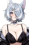  1girl :3 absurdres animal_ear_fluff animal_ears aqua_eyes bare_shoulders black_bra blush bra breasts collar commentary cross-shaped_pupils daydarion elira_pendora elira_pendora_(6th_costume) english_commentary fur-trimmed_jacket fur_trim grey_hair hair_over_one_eye highres jacket large_breasts large_variant_set looking_at_viewer mole mole_on_armpit nijisanji nijisanji_en off_shoulder short_hair simple_background solo symbol-shaped_pupils underwear upper_body variant_set virtual_youtuber white_background wolf_ears 