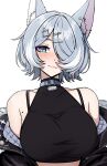  1girl :3 absurdres animal_ear_fluff animal_ears aqua_eyes bare_shoulders blush bra_strap breasts collar commentary cross-shaped_pupils daydarion elira_pendora elira_pendora_(6th_costume) english_commentary fur-trimmed_jacket fur_trim grey_hair hair_over_one_eye highres jacket large_breasts large_variant_set looking_at_viewer mole mole_on_armpit nijisanji nijisanji_en off_shoulder short_hair simple_background solo symbol-shaped_pupils upper_body variant_set virtual_youtuber white_background wolf_ears 