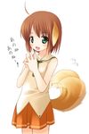  ahoge animal_ears blush brown_hair dog_ears dog_tail green_eyes inuarashi meiko_(inuarashi) open_mouth original short_hair simple_background skirt solo tail tail_wagging translated white_background 