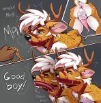 absurd_res animal_genitalia animal_penis anthro antlers balls bell bell_collar blaze_(marking) blue_eyes bodily_fluids bound breezy_(breezydiz) bubble cervine cervine_genitalia cervine_penis chain chain_leash cock_gag collar collar_tag deer dripping eye_roll eyes_closed facial_markings fallow_deer fur gag gagging genital_fluids genitals good_boy hair hands_behind_back hands_tied hands_tied_behind_back head_markings hi_res horn leaking_precum leash male mammal markings moan monotone_background orange_body orange_fur ozerov_fantom penis precum precum_drip red_collar red_gag saliva saliva_drip shaking shivering simple_background snot snot_bubble solo speech_bubble sweat sweatdrop tail tears tears_of_pleasure white_hair
