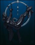 all_the_way_through animal_genitalia animal_penis anthro avian bdsm beak beak_piercing black_border bondage border bound equine_genitalia equine_penis european_mythology facial_piercing farorenightclaw furgonomic_piercing furgonomics genital_piercing genitals greek_mythology hippogriff hooves impalement latex male multi_genitalia mythological_avian mythological_creature mythology penetration penis penis_piercing piercing prince_albert_piercing ring snowypenguin solo wings_tied