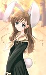  akata_itsuki animal_ears bunny_ears long_hair long_sleeves maria-sama_ga_miteru pleated_skirt school_uniform skirt solo toudou_shimako 