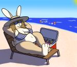 anthro beach beach_chair belly big_belly big_breasts bikini blonde_hair bottle breasts brown_body brown_fur chimera clothing container cooler deer domestic_ferret dragon eyewear female fur generation_5_pokemon governormuffin green_body green_fur group hair hands_behind_head hat headgear headwear hi_res lagomorph leporid long_ears lounging male mammal mienfoo mustelid musteline mythological_creature mythological_scalie mythology nintendo overweight overweight_female pattern_bikini pattern_clothing pattern_swimwear pink_hair pokemon pokemon_(species) rabbit red_body red_scales sand scales scalie sea sitting striped_bikini striped_clothing striped_swimwear stripes sun_hat sunglasses swimwear tan_body tan_fur tan_scales true_musteline two-piece_swimsuit water weasel white_body white_fur white_nose