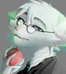 absurd_res anthro apple black_clothing black_shirt black_topwear clothing enoxarts eyewear fan_character felid feline food fruit glasses grey_body hi_res holding_apple holding_food holding_fruit holding_object lombax male mammal mint_fur multicolored_eyes plant portrait ratchet_and_clank shirt solo sony_corporation sony_interactive_entertainment three-quarter_portrait topwear wearing_glasses