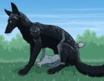 2026 abdominal_bulge absurd_res ambiguous_penetration anthro anthro_on_feral anthro_penetrated balls bestiality black_body black_fur breasts canid canine digitigrade duo felid female female_anthro female_penetrated feral feral_penetrating feral_penetrating_anthro forced fox fur genitals grass green_eyes grey_body grey_fur hi_res huge_penetration interspecies larger_feral larger_male macro male male/female male_feral male_penetrating male_penetrating_female male_raping_female mammal nipples obscured_penetration outside penetration penile penile_penetration plant quadruped rape renaud_(character) sex shadow size_difference smaller_anthro smaller_female smaller_penetrated strega whiskers yellow_eyes