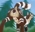 2026 6_nipples animal_genitalia animal_vulva anus black_pawpads blue_eyes brown_body brown_fur butt canid canine canine_genitalia canine_vulva digital_media_(artwork) digitoxici female female_feral feral fur genitals looking_at_viewer looking_back looking_back_at_viewer low-angle_view mammal markings multi_nipple nipples pawpads presenting presenting_hindquarters quadruped raised_tail rajha ring_(marking) ringed_tail solo striped_markings striped_tail stripes tail tail_markings tan_body tan_fur teats vulva white_body white_fur