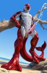 2026 absurd_res animal_genitalia animal_penis anthro anus aquatic arm_support athletic beach black_body black_skin blowhole bodily_fluids cetacean cetacean_genitalia cetacean_penis cetacean_tail chest_markings chest_tattoo cum cum_from_penis cumshot digitigrade dolphin dolphin_tail dorsal_fin ejaculation erection eyes_closed feet fin fingers fridaflame front_view genital_fluids genital_slit genitals grey_body grey_skin hand_on_penis hi_res leaning leaning_on_elbow leaning_on_object leaning_on_tree looking_pleasured male mammal marine_mammal markings masturbation membrane_(anatomy) nude nude_anthro nude_male oceanic_dolphin open_mouth orgasm orgasm_from_handjob outside penis precum presenting presenting_penis red_body red_skin sea siader smile smiling_at_viewer smooth_penis smooth_skin solo standing story story_in_description striped_dolphin stroking_penis tail tail_anus tail_fin tapering_penis tattoo teeth teeth_showing toes toned_belly toned_body toned_legs toned_male toned_muscles toned_thighs tongue toothed_whale water webbed_feet