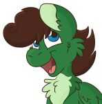 2d_animation alpha_channel animated animated_gif blue_eyes brown_hair brown_mane colored digital_media_(artwork) equid equine euspuche fan_character feral fluffy fluffy_chest folded_wings fur green_body green_fur hair hasbro hooves horse male male_feral mammal mane meme my_little_pony mythological_creature mythological_equine mythology nod nodding nodding_head open_mouth outline pegasus pine_thunderoak pony short_playtime simple_background smile solo transparent_background white_outline wings ych_(character)