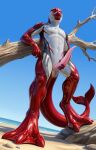 2026 absurd_res animal_genitalia animal_penis anthro anus aquatic arm_support athletic beach black_body black_skin blowhole bodily_fluids cetacean cetacean_genitalia cetacean_penis cetacean_tail chest_markings chest_tattoo digitigrade dolphin dolphin_tail dorsal_fin erection eyes_closed feet fin fingers fridaflame front_view genital_fluids genital_slit genitals grey_body grey_skin hand_on_penis hi_res leaning leaning_on_elbow leaning_on_object leaning_on_tree looking_pleasured male mammal marine_mammal markings masturbation membrane_(anatomy) nude nude_anthro nude_male oceanic_dolphin open_mouth outside penis precum presenting presenting_penis red_body red_skin sea siader smile smiling_at_viewer smooth_penis smooth_skin solo standing story story_in_description striped_dolphin stroking_penis tail tail_anus tail_fin tapering_penis tattoo teeth teeth_showing toes toned_belly toned_body toned_legs toned_male toned_muscles toned_thighs tongue toothed_whale water webbed_feet
