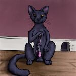 1:1 animal_genitalia anus black_body black_fur black_nose claw_marks duo erection extended_claws felid feline fellatio feral fur genitals grey_body grey_fur hi_res holding_another holding_tail male male/male mammal mouse mouse_hole murid murine on_ground oral orange_eyes penile rodent sex sitting size_difference tail time_meets_time tongue tongue_out upside_down whiskers