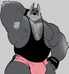 1:1 anthro arm_tuft armpit_hair armpit_tuft aroused aroused_male barazoku beard beer_belly belly biceps big_belly big_bulge big_muscles big_pecs black_clothing black_eyebrows black_fingerless_gloves black_gloves black_handwear black_shirt black_tank_top black_topwear blue_sclera body_hair bottomwear bulge canid canine canis clothing detailed_bulge elbow_hair elbow_tuft erection erection_under_clothing erection_under_shorts eyebrows facial_hair fingerless_gloves flexing flexing_bicep flexing_muscles flexing_pecs fur genital_outline gloves grey_body grey_fur hand_behind hand_behind_head hand_on_head hand_on_own_head handwear head_rub hi_res huge_muscles huge_pecs male mammal manly mature_anthro mature_male milkblend musclegut muscular muscular_anthro muscular_arms muscular_male muscular_thighs mustache nipples pecs penis_outline pink_bottomwear pink_clothing pink_shorts pose presenting presenting_armpit presenting_belly presenting_body presenting_bulge presenting_pecs raised_arm rubbing_head shirt shorts showing_off_muscles sideburns simple_background solo standing tank_top tenting thick_arms thick_eyebrows thick_thighs tight_bottomwear tight_clothing tight_shirt tight_shorts tight_topwear topwear tough_guy tuft white_armpit_hair white_background white_beard white_body white_facial_hair white_fur white_mustache white_sideburns wolf