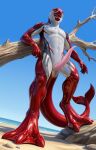 2026 absurd_res amber_eyes animal_genitalia animal_penis anthro anus aquatic arm_support athletic beach black_body black_skin blowhole bodily_fluids cetacean cetacean_genitalia cetacean_penis cetacean_tail chest_markings chest_tattoo digitigrade dolphin dolphin_tail dorsal_fin erection feet fin fingers fridaflame front_view genital_fluids genital_slit genitals grey_body grey_skin hi_res leaning leaning_on_elbow leaning_on_object leaning_on_tree looking_at_viewer male mammal marine_mammal markings membrane_(anatomy) nude nude_anthro nude_male oceanic_dolphin open_mouth outside penis precum presenting presenting_penis red_body red_skin sea siader smile smiling_at_viewer smooth_penis smooth_skin solo standing story story_in_description striped_dolphin tail tail_anus tail_fin tapering_penis tattoo teeth teeth_showing toes toned_belly toned_body toned_legs toned_male toned_muscles toned_thighs tongue toothed_whale water webbed_feet