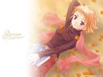  autumn book copyright_request highres leaf long_sleeves scarf short_hair solo takigawa_yuu wallpaper 