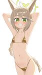  1girl absurdres ahoge alternate_costume animal_ears arms_behind_back arms_up bikini blue_archive blush braid breasts cameltoe collarbone commentary_request cowboy_shot daidaradoji double-parted_bangs fox_ears fox_girl gold_bikini green_eyes green_halo grey_hair hair_between_eyes halo highres long_hair looking_at_viewer micro_bikini navel open_mouth otogi_(blue_archive) sidelocks simple_background single_braid small_breasts smug solo stomach string_bikini swimsuit teeth very_long_hair white_background 