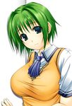  aqua_eyes big_wednesday breasts comic_party green_hair huge_breasts looking_at_viewer ooba_eimi school_uniform short_hair smile solo 