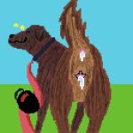 1:1 animal_genitalia anus bodily_fluids canid canine canis collar cum cum_in_ass cum_in_vagina cum_inside digital_media_(artwork) domestic_dog female feral fur genital_fluids genitals happy jamandivy leash leashed_collar looking_at_viewer looking_back mammal nameless_character outside pixel_(artwork) solo