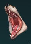 2021 ambiguous_feral ambiguous_gender artist_name black_nose bodily_fluids brown_body brown_fur brown_lips canid canine carnassials detailed detailed_mouth digital_drawing_(artwork) digital_media_(artwork) disembodied_mouth dripping drooling drooling_tongue facial_markings fangs feral fox fur gaping_mouth green_background head_markings hi_res incisors lips lynxwolf mammal markings mouth_shot open_mouth orange_body orange_fur palate palate_ridges philtrum presenting_mouth red_gums red_throat red_tongue saliva saliva_drip saliva_on_tongue saliva_string sharp_teeth simple_background snout snout_markings solo teeth text three-quarter_view throat tongue whisker_spots white_body white_fur wide_tongue
