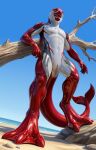 2026 absurd_res amber_eyes animal_genitalia anthro anus aquatic arm_support athletic beach black_body black_skin blowhole cetacean cetacean_genitalia chest_markings chest_tattoo digitigrade dolphin dolphin_tail dorsal_fin feet fin fingers fridaflame front_view genital_slit genitals grey_body grey_skin hi_res leaning leaning_on_elbow leaning_on_object leaning_on_tree looking_at_viewer male mammal marine_mammal markings membrane_(anatomy) nude nude_anthro nude_male oceanic_dolphin open_mouth outside red_body red_skin sea siader smile smiling_at_viewer solo standing story story_in_description striped_dolphin tail tail_anus tail_fin tattoo teeth teeth_showing toes toned_belly toned_body toned_legs toned_male toned_muscles toned_thighs tongue toothed_whale water webbed_feet