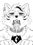 anthro biped blush blush_lines bodily_fluids canid canine chinese_description close-up collar collar_only cum cum_drool cum_on_face cum_on_tongue digital_drawing_(artwork) digital_media_(artwork) dr.kiyo front_view genital_fluids greyscale half-closed_eyes hi_res kiyo_(dr.kiyo) male male_anthro mammal monochrome mouth_shot narrowed_eyes nude nude_anthro nude_male open_mouth sharp_teeth simple_background sketch solo teeth tongue tongue_out white_background