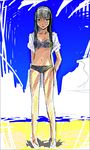  artist_request beach bikini solo swimsuit toono_akiha tsukihime 