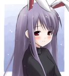  animal_ears bangs bunny_ears eretto lowres sakura_musubi sera_karen solo 