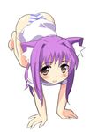  all_fours animal_ears blue_panties blush bottomless cat_ears no_pants original panties pink_eyes purple_hair shirt sikorsky solo striped striped_panties underwear 