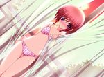  blush bra covering dutch_angle game_cg hobo-san_to_issho! iizuki_tasuku lingerie navel panties pink_panties plaid plaid_bra plaid_panties purple_eyes red_hair short_hair solo standing thigh_gap underwear underwear_only 