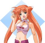  animal_ears arf blue_eyes breasts cleavage cleavage_cutout familiar forehead_jewel long_hair lowres lyrical_nanoha magical_girl mahou_shoujo_lyrical_nanoha mahou_shoujo_lyrical_nanoha_a's medium_breasts midriff orange_hair solo twintails umekichi 