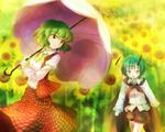  antennae ascot bad_id bad_pixiv_id blush cape field flower flower_field green_eyes green_hair kazami_yuuka looking_back mokomoko_(haduki) multiple_girls parasol plaid plaid_skirt plaid_vest red_eyes shorts skirt skirt_set sunflower touhou umbrella vest wriggle_nightbug 