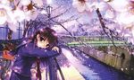  absurdres bicycle cherry_blossoms flower ground_vehicle highres misaki_kurehito petals purple_hair school_uniform short_hair solo water 