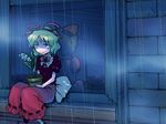  blue_eyes bow flower green_hair lily_of_the_valley medicine_melancholy monolith_(suibou_souko) plant potted_plant rain reflection sitting_in_window solo touhou window windowsill 