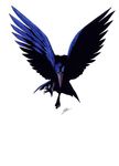 atlus beak bird demon feather feathers persona shin_megami_tensei talons wings 