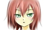  baka_to_test_to_shoukanjuu blush brown_hair green_eyes hair_ornament hairclip kinoshita_hideyoshi kuurijji male_focus solo 