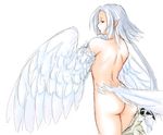  artist_request ass copyright_request feathered_wings feathers harpy monster_girl nude pointy_ears red_eyes short_hair simple_background sketch solo white_hair wings 