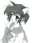  animal_ears cat_ears greyscale momiji_mao monochrome school_uniform serafuku solo to_heart_2 yuzuhara_konomi 