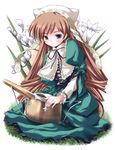  brown_hair dress flower freesia_(flower) green_eyes hat heterochromia long_hair long_sleeves red_eyes ribbon rozen_maiden shinshin solo suiseiseki very_long_hair watering_can 