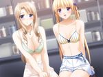  blonde_hair blue_eyes blush bow bow_bra bra breasts brown_hair cleavage game_cg green_bra hair_cubes hair_ornament large_breasts lingerie mother_and_daughter mukai_mana mukai_yumiko multiple_girls nami_no_manimani peko sitting striped twintails underwear vertical-striped_bra vertical_stripes yellow_bra 