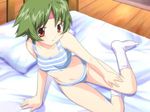  arm_support bed blush bra game_cg headband lingerie mutsumi_masato nitou_misaki only_you only_you_recross panties pillow sitting socks solo striped striped_bra striped_panties underwear underwear_only yokozuwari 