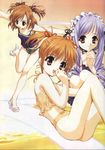  aria_(sister_princess) artist_request bikini brown_hair hinako_(sister_princess) multiple_girls orange_hair purple_hair sister_princess swimsuit tankini yotsuba_(sister_princess) 